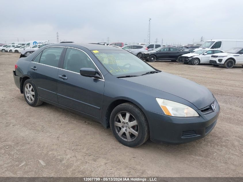 2005 Honda Accord Sdn VIN: 1HGCM66505A800761 Lot: 12007799