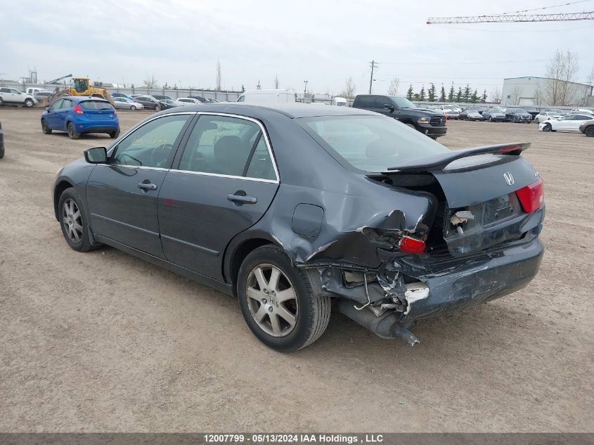 2005 Honda Accord Sdn VIN: 1HGCM66505A800761 Lot: 12007799