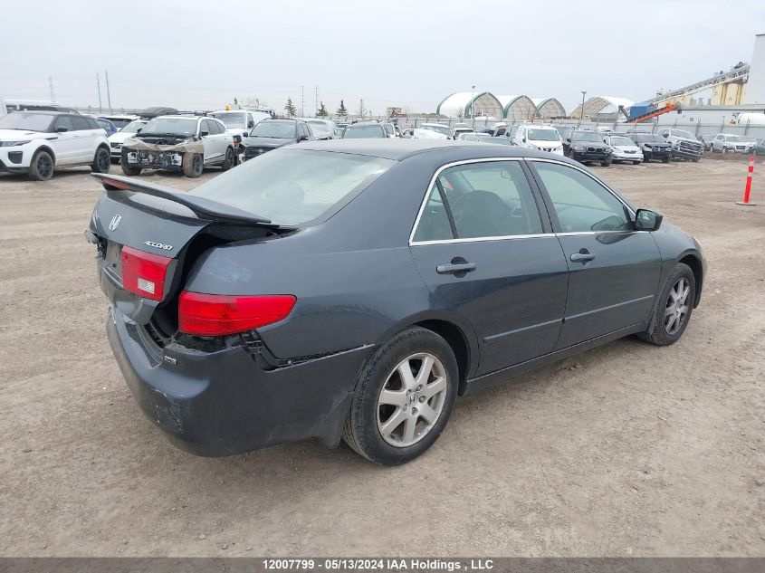 2005 Honda Accord Sdn VIN: 1HGCM66505A800761 Lot: 12007799