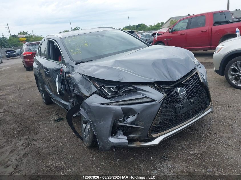 2021 Lexus Nx 300 VIN: JTJJARDZ5M2253952 Lot: 12007826