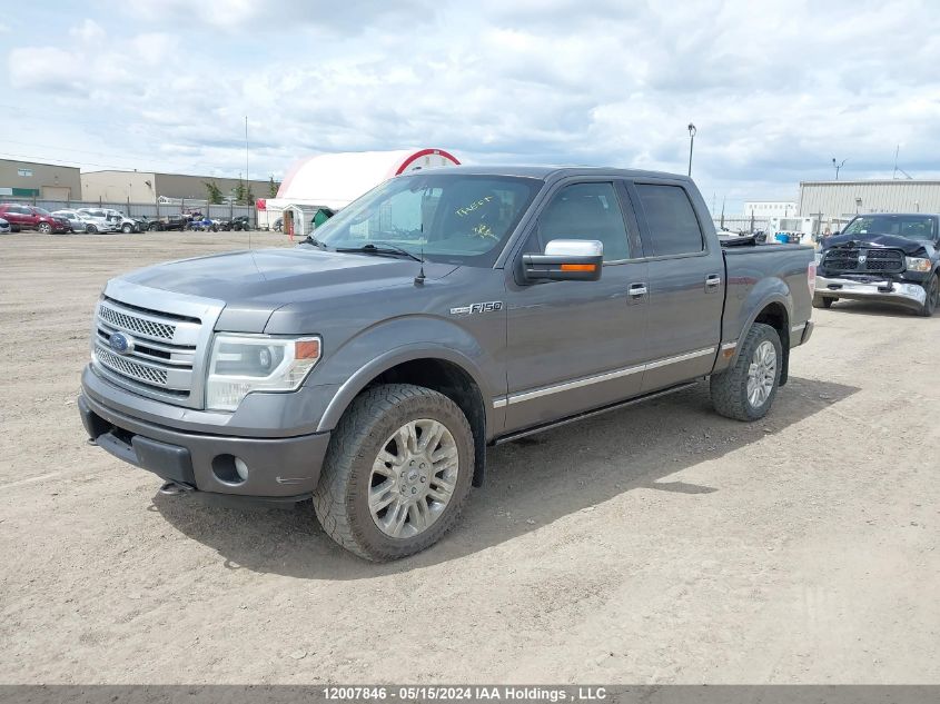 2013 Ford F150 Supercrew VIN: 1FTFW1EF4DFA83141 Lot: 12007846