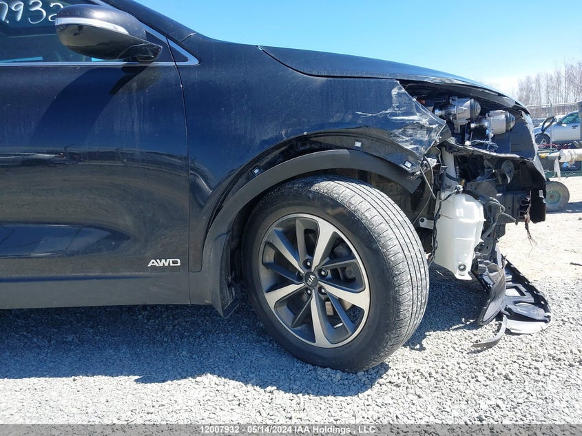 2019 Kia Sorento VIN: 5XYPHDA54KG505254 Lot: 12007932