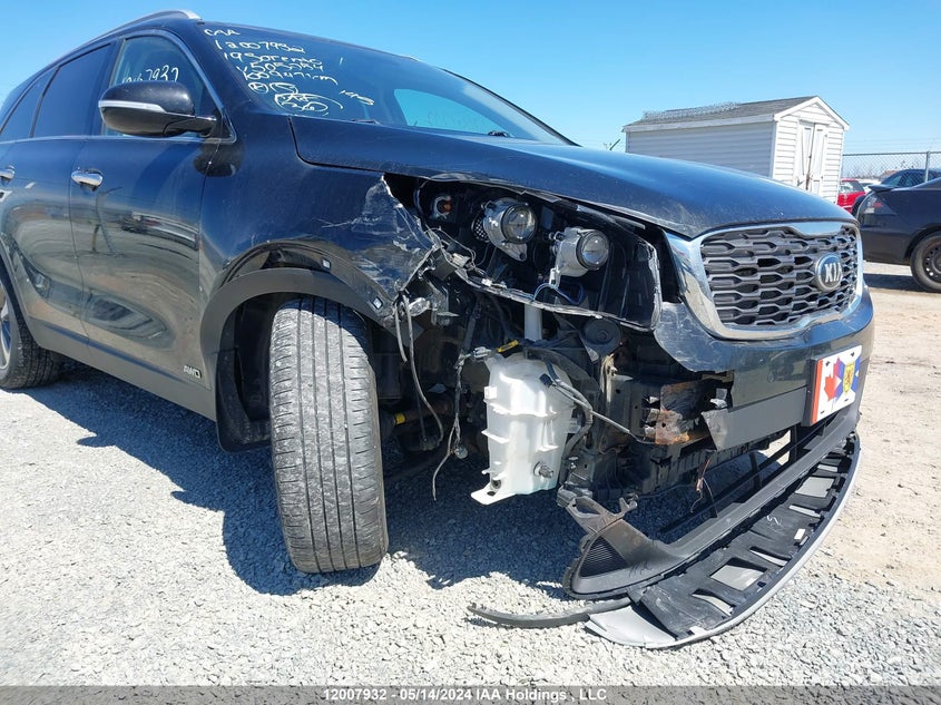 2019 Kia Sorento VIN: 5XYPHDA54KG505254 Lot: 12007932