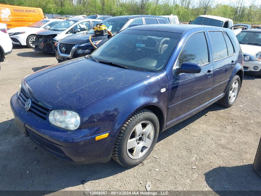 2002 Volkswagen Golf VIN: 9BWGP21J424060801 Lot: 12008057