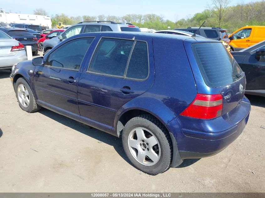 2002 Volkswagen Golf VIN: 9BWGP21J424060801 Lot: 12008057