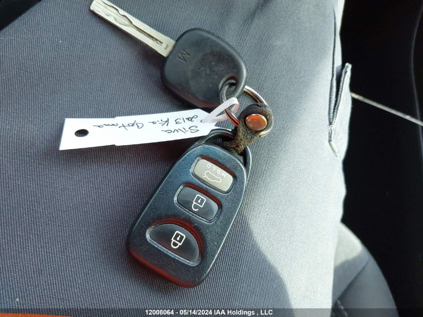 2013 Kia Optima VIN: KNAGM4A79D5399373 Lot: 12008064