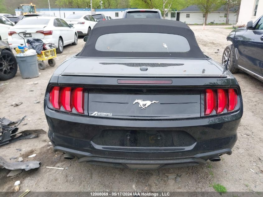 2023 Ford Mustang VIN: 1FATP8UH4P5112018 Lot: 12008069