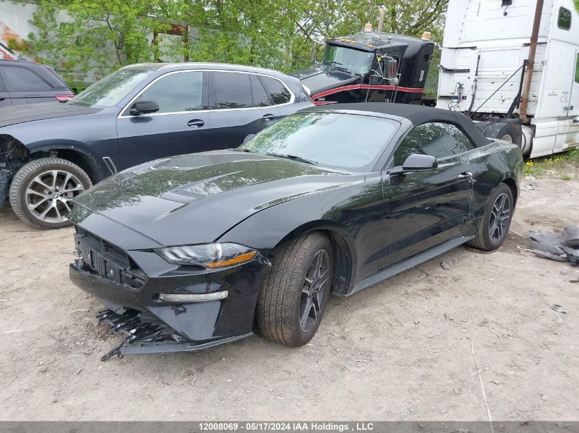 2023 Ford Mustang VIN: 1FATP8UH4P5112018 Lot: 12008069