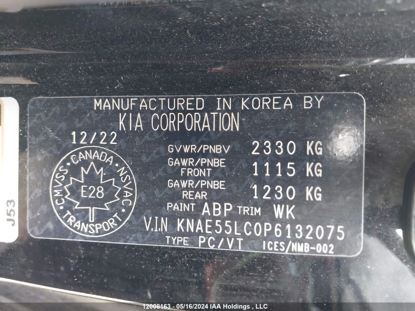 2023 Kia Stinger VIN: KNAE55LC0P6132075 Lot: 12008163