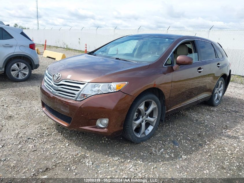 2009 Toyota Venza Base V6 VIN: 4T3BK11A19U021299 Lot: 12008339