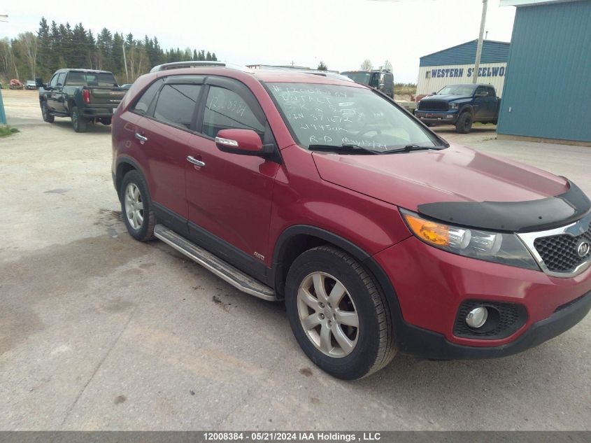 2013 Kia Sorento VIN: 5XYKTDA26DG371672 Lot: 12008384