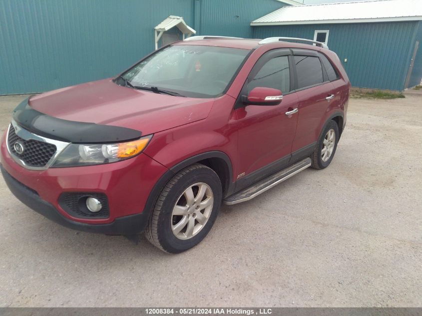 2013 Kia Sorento VIN: 5XYKTDA26DG371672 Lot: 12008384