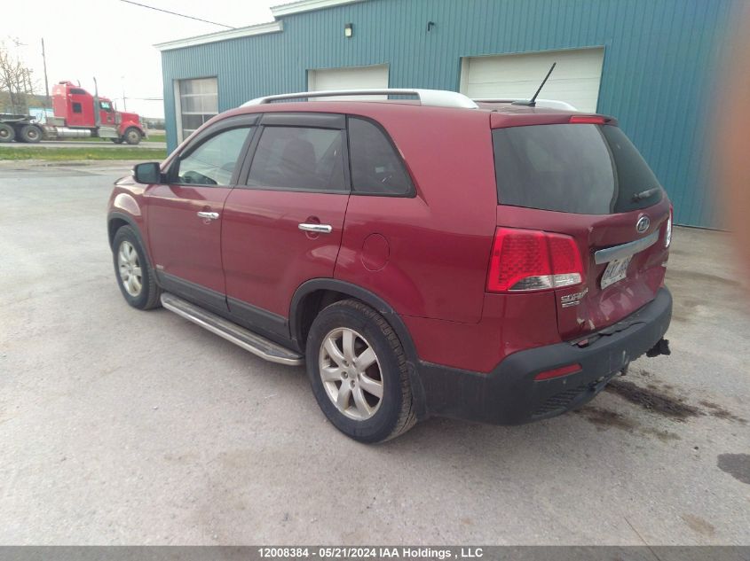 2013 Kia Sorento VIN: 5XYKTDA26DG371672 Lot: 12008384