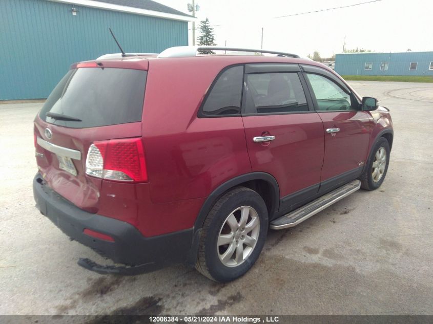 2013 Kia Sorento VIN: 5XYKTDA26DG371672 Lot: 12008384