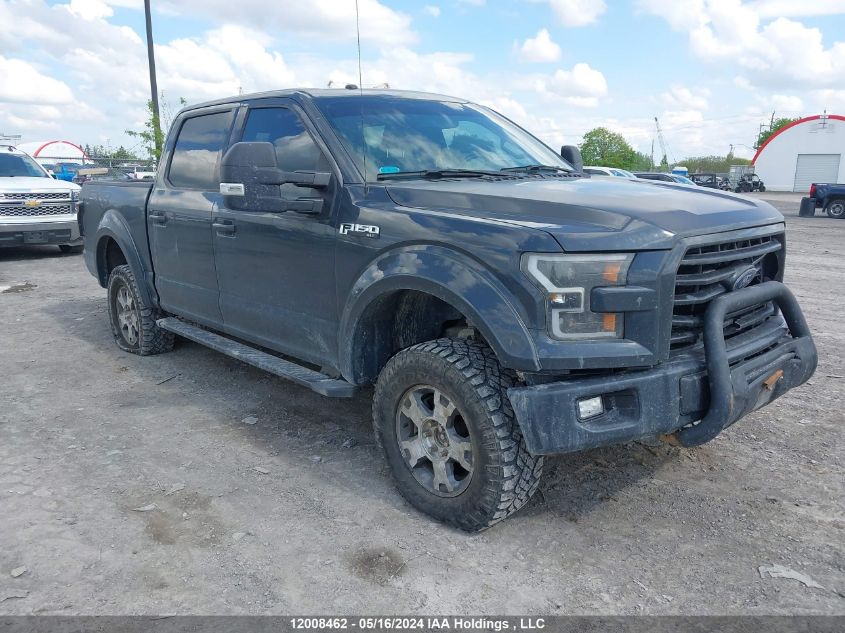 2016 Ford F-150 Xlt VIN: 1FTEW1EF8GFC41111 Lot: 12008462