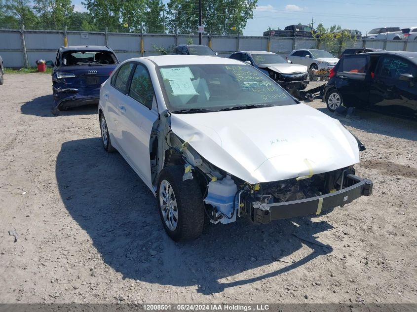 2023 Kia Forte VIN: 3KPF24AD8PE701531 Lot: 12008501