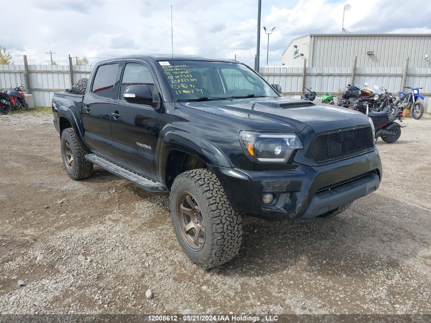 2013 Toyota Tacoma V6 VIN: 5TFLU4EN5DX065369 Lot: 12008612