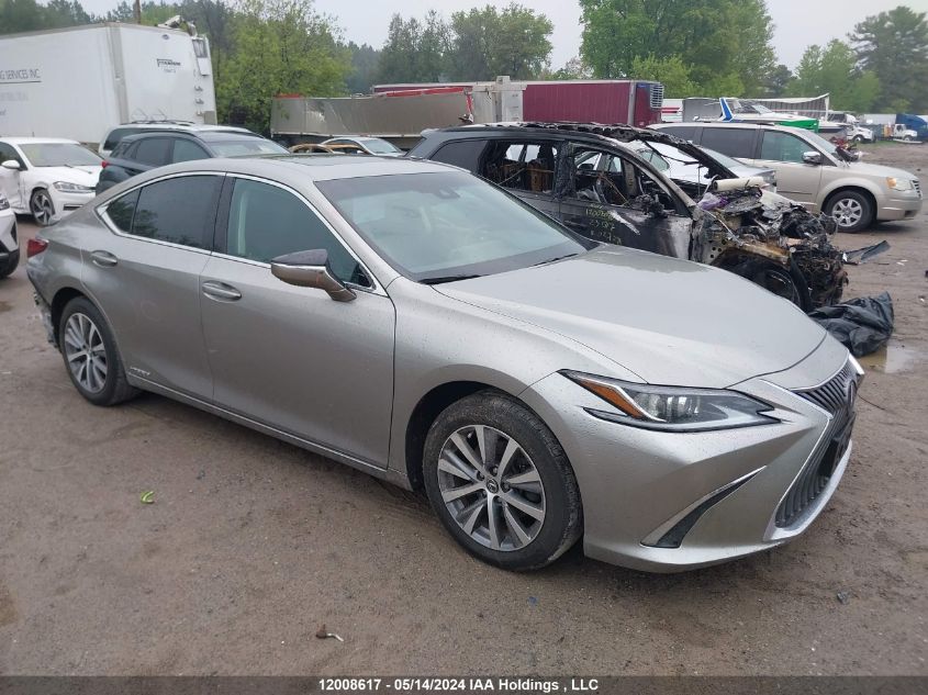 2020 Lexus Es 300H Signature VIN: 58AB21B10LU009832 Lot: 12008617