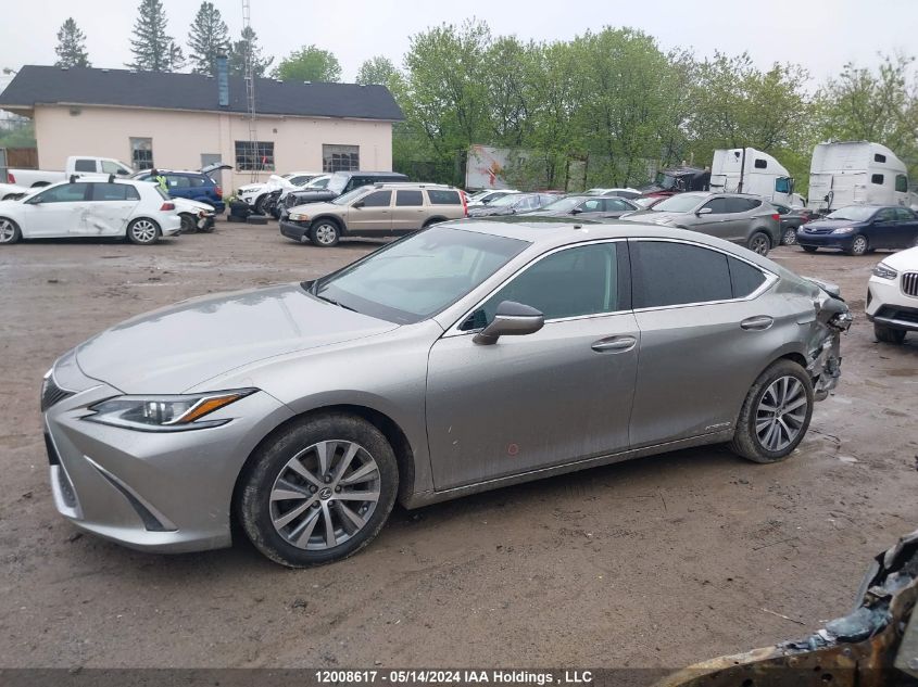 2020 Lexus Es 300H Signature VIN: 58AB21B10LU009832 Lot: 12008617