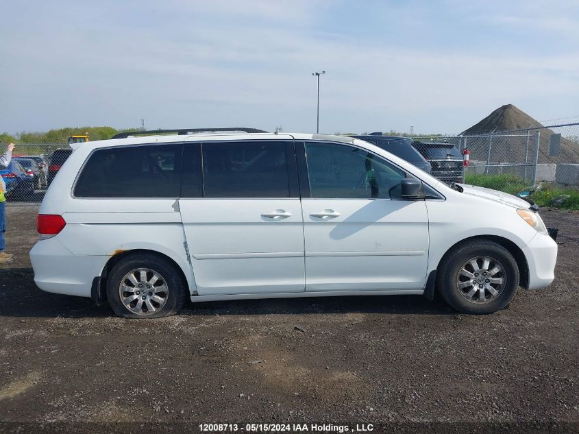 2009 Honda Odyssey VIN: 5FNRL38629B500815 Lot: 12008713