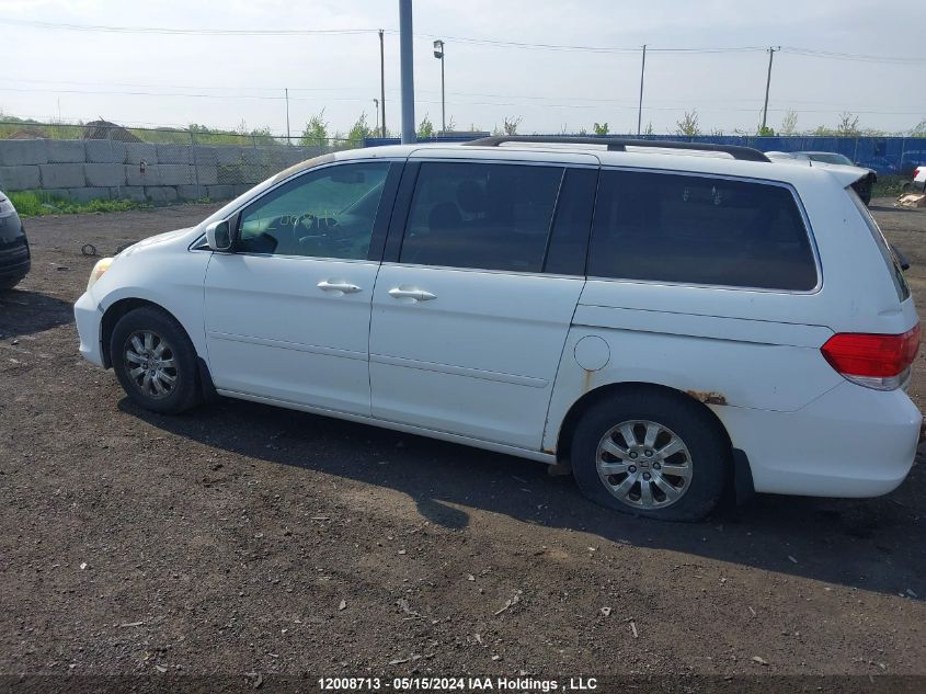 2009 Honda Odyssey VIN: 5FNRL38629B500815 Lot: 12008713