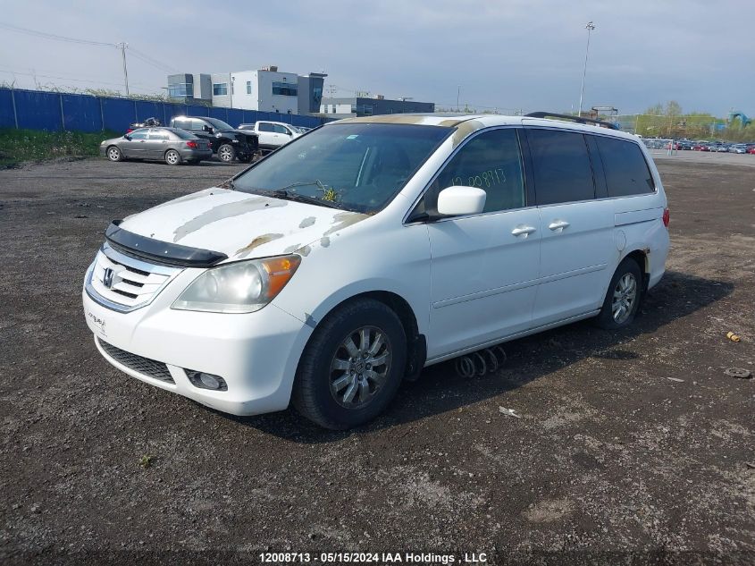 2009 Honda Odyssey VIN: 5FNRL38629B500815 Lot: 12008713