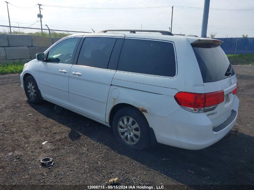 2009 Honda Odyssey VIN: 5FNRL38629B500815 Lot: 12008713