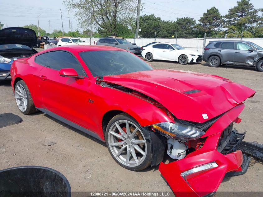 2019 Ford Mustang VIN: 1FA6P8TH6K5105076 Lot: 12008721