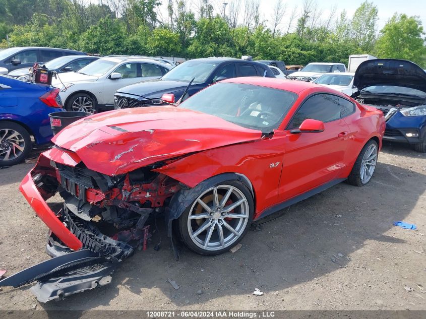 2019 Ford Mustang VIN: 1FA6P8TH6K5105076 Lot: 12008721