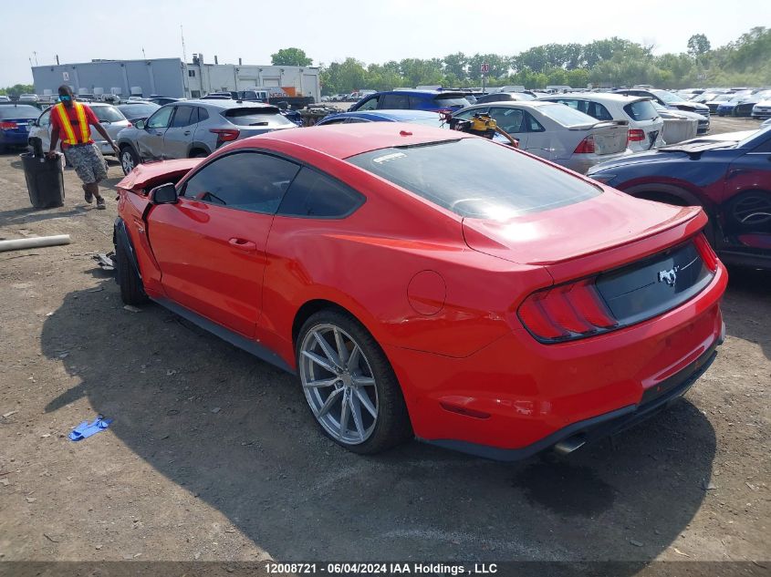 2019 Ford Mustang VIN: 1FA6P8TH6K5105076 Lot: 12008721