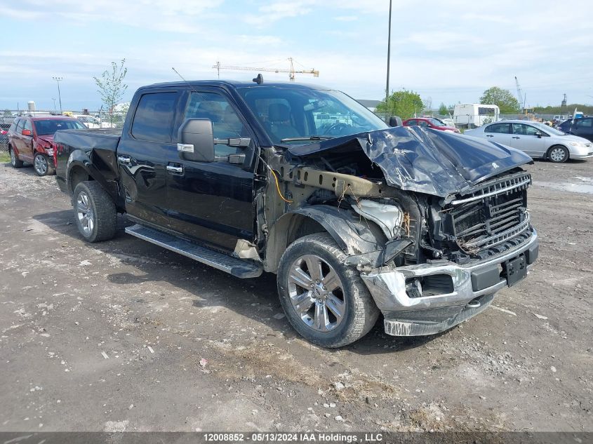 2019 Ford F150 Supercrew VIN: 1FTFW1E5XKFD02558 Lot: 12008852