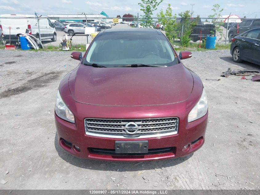 2009 Nissan Maxima S/Sv VIN: 1N4AA51E19C823563 Lot: 12008907