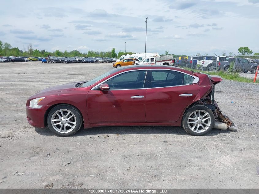 2009 Nissan Maxima S/Sv VIN: 1N4AA51E19C823563 Lot: 12008907