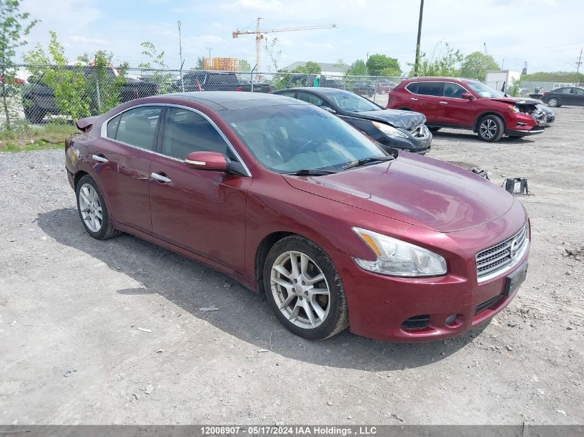 2009 Nissan Maxima S/Sv VIN: 1N4AA51E19C823563 Lot: 12008907