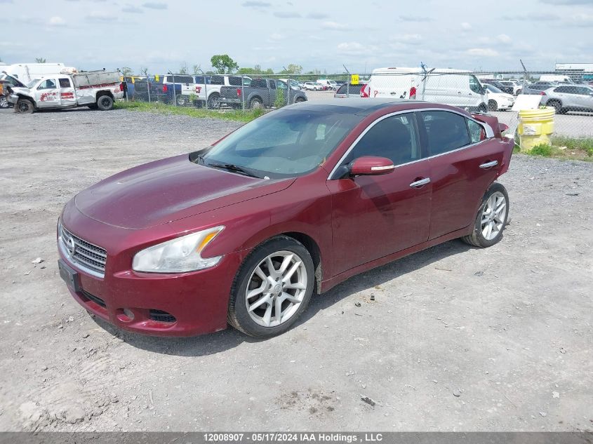 2009 Nissan Maxima S/Sv VIN: 1N4AA51E19C823563 Lot: 12008907