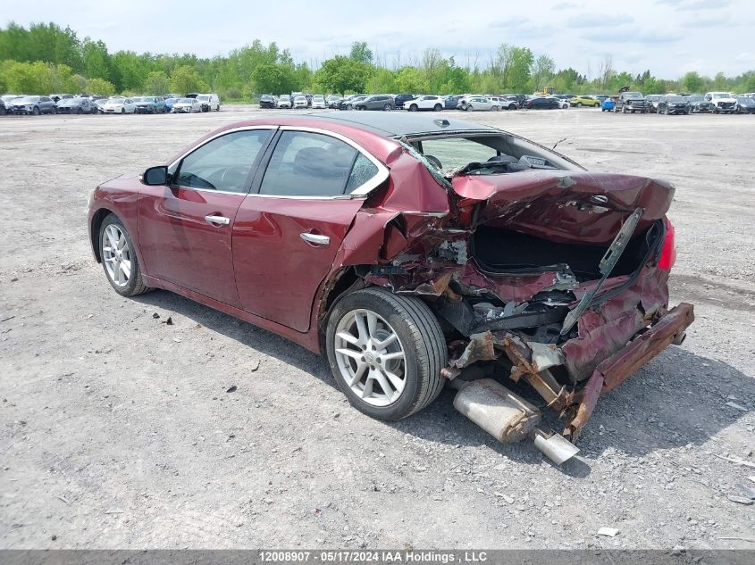 2009 Nissan Maxima S/Sv VIN: 1N4AA51E19C823563 Lot: 12008907