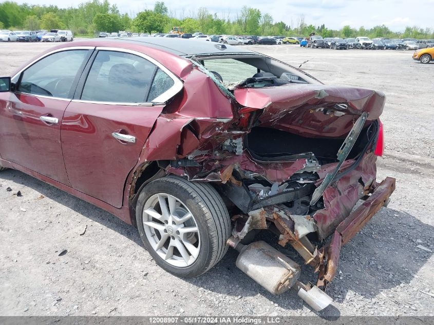 2009 Nissan Maxima S/Sv VIN: 1N4AA51E19C823563 Lot: 12008907