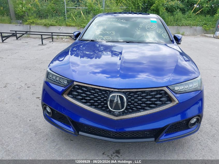 2019 Acura Tlx VIN: 19UUB3F83KA802003 Lot: 12008929