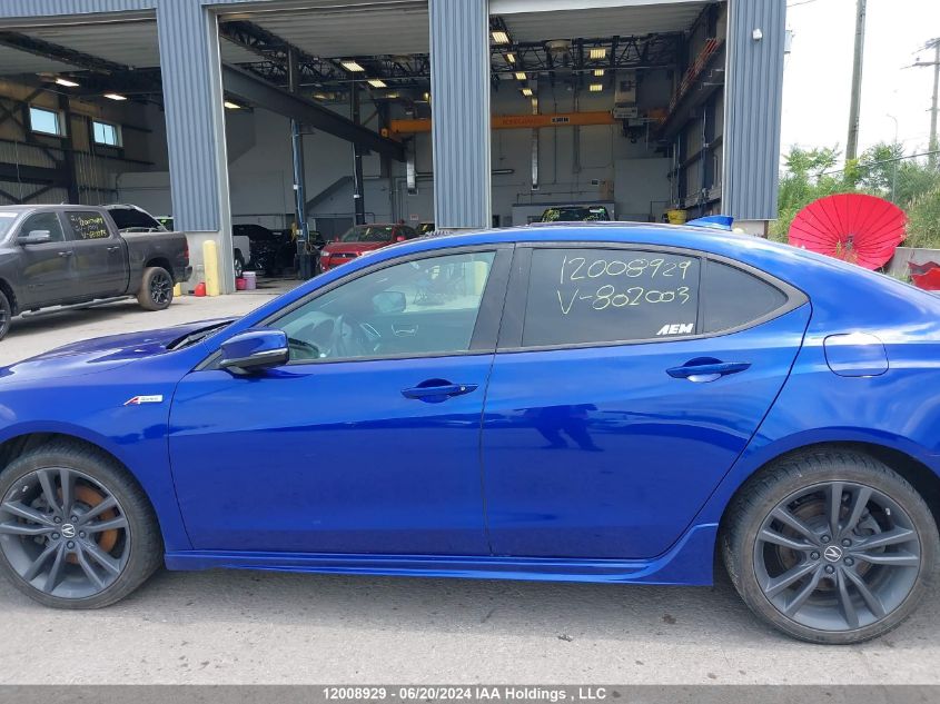 2019 Acura Tlx VIN: 19UUB3F83KA802003 Lot: 12008929
