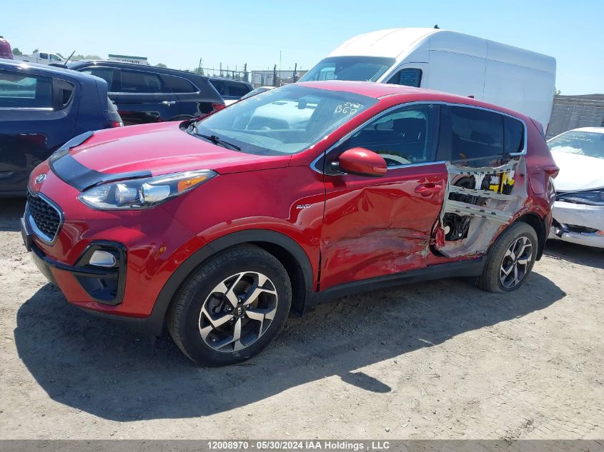 2020 Kia Sportage VIN: KNDPMCAC4L7814208 Lot: 12008970