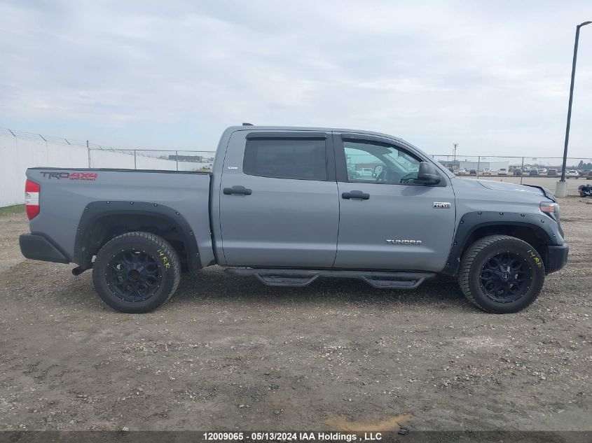 2021 Toyota Tundra Crewmax Sr5/Crewmax Trd Pro VIN: 5TFDY5F13MX005083 Lot: 12009065