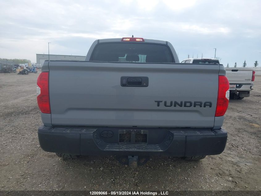 2021 Toyota Tundra Crewmax Sr5/Crewmax Trd Pro VIN: 5TFDY5F13MX005083 Lot: 12009065