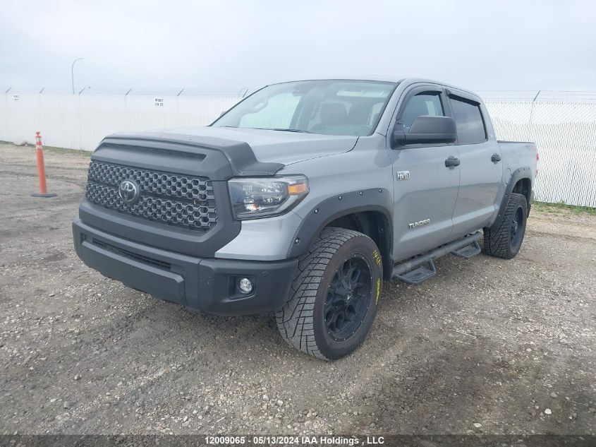 2021 Toyota Tundra Crewmax Sr5/Crewmax Trd Pro VIN: 5TFDY5F13MX005083 Lot: 12009065