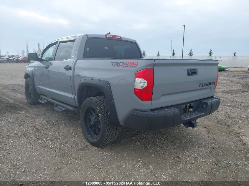 2021 Toyota Tundra Crewmax Sr5/Crewmax Trd Pro VIN: 5TFDY5F13MX005083 Lot: 12009065