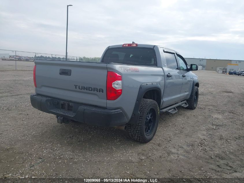 2021 Toyota Tundra Crewmax Sr5/Crewmax Trd Pro VIN: 5TFDY5F13MX005083 Lot: 12009065