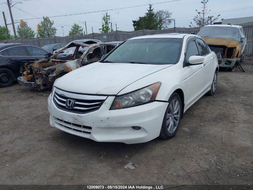 2011 Honda Accord Sedan VIN: 1HGCP3F83BA800362 Lot: 12009073