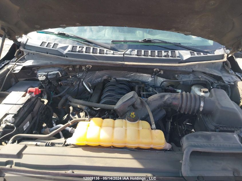 2016 Ford F-150 Xlt VIN: 1FTEW1EF3GFC20490 Lot: 12009135