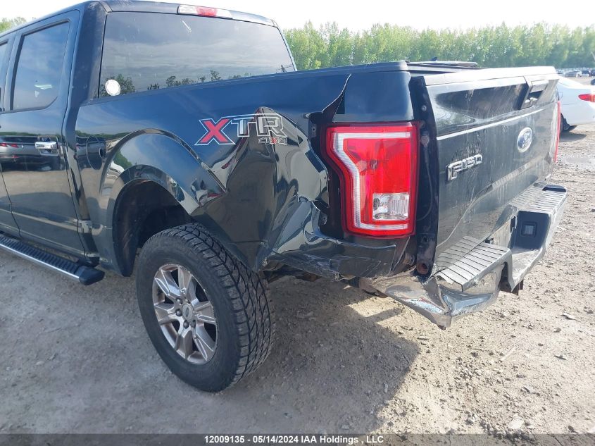 2016 Ford F-150 Xlt VIN: 1FTEW1EF3GFC20490 Lot: 12009135