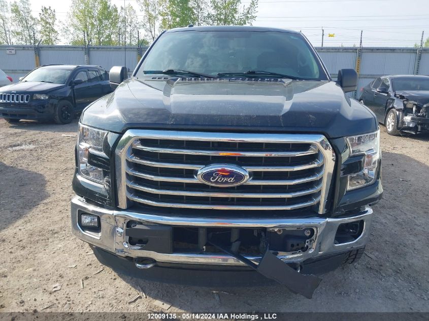 2016 Ford F-150 Xlt VIN: 1FTEW1EF3GFC20490 Lot: 12009135