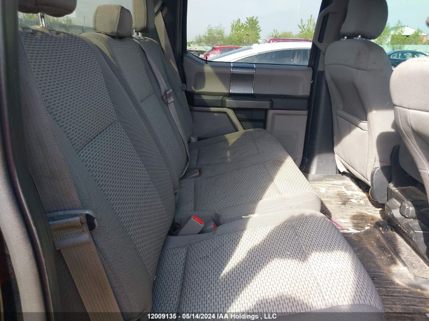 2016 Ford F-150 Xlt VIN: 1FTEW1EF3GFC20490 Lot: 12009135